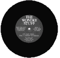 record icon